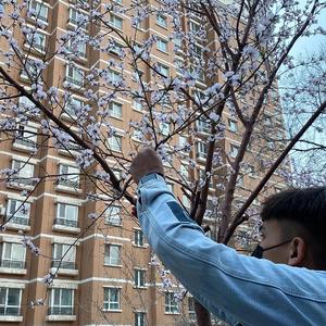 优秀处女开苞高潮毛片
