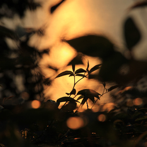 优秀处女开苞高潮毛片

